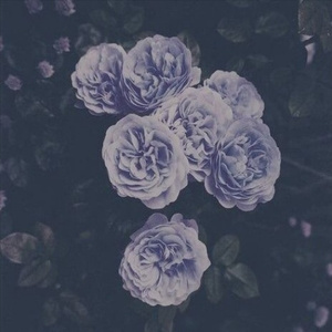 68av黄色操逼电影网站
