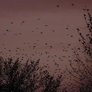 68av黄色操逼电影网站
