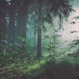 68av黄色操逼电影网站
